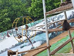 -西霞口神雕山野生动物世界