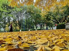 -西南政法大学(渝北校区)