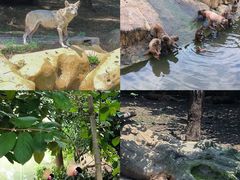 -常州淹城野生动物世界