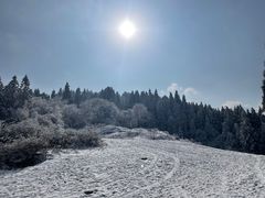 -武陵山森林公园