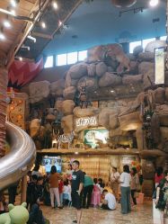 点击看大图 -卡通尼·Safari非洲探索乐园·生日会(金桥国际商业广场店)