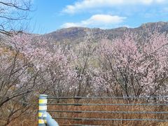 -妙峰山风景名胜区