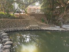 -杨厝六十六农庄农舍(杨厝路店)