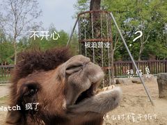 -上方山森林动物世界