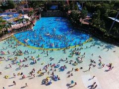 -重庆海昌加勒比海水世界