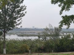 -绿堤公园