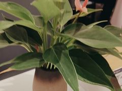 -眉州东坡(清河万象汇店)