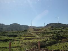 -大姆山草场