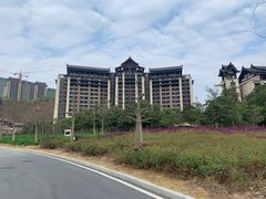 -清远熹乐谷温泉度假酒店