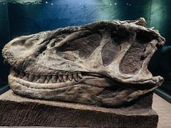 -自贡恐龙博物馆