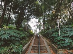 -华中师范大学-图书馆