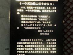 -816工程景区