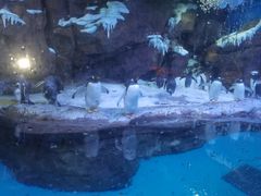 -波塞冬海底世界