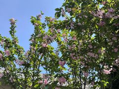 -霖公馆SPA·足道(普善路店)