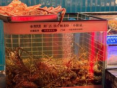 -雍容荟活波龙自助餐(IFS黑金店)