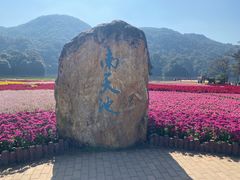 -广州市石门国家森林公园