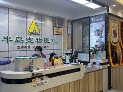 -半岛宠物医院24小时(西派城店)