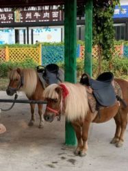 -萌宠亲子动物乐园(槐房万达店)