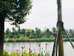 -枫香湖儿童公园