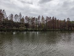 -顺峰山公园