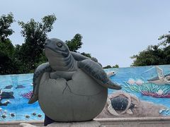 -广东惠东海龟国家级自然保护区