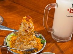 -大阪烧肉BAKA一代(十亩地店)