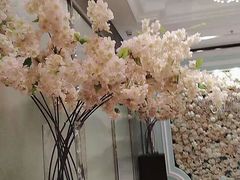 -同庆楼(华强吾悦广场店)