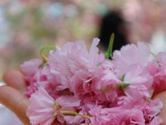 -广东花都香草世界旅游度假区