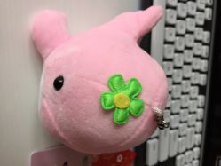 莫莉幻想-莫莉幻想儿童乐园(绍兴金帝银泰城店)