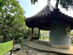 -香雪海