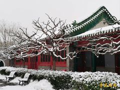 -中国紫檀博物馆