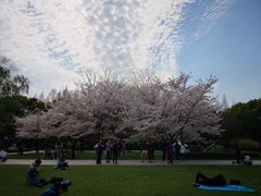 -复旦大学光华楼