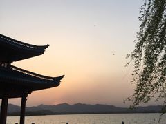 景点-柳浪闻莺公园