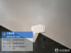 -大树装饰·十年本土家装