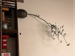 -仰生如卉推拿养生馆(酒仙桥店)