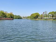 -新江湾城公园