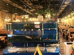 -小俩口烧烤东北菜(双井店)