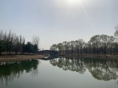 -大兴滨河森林公园