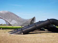 -南汇嘴观海公园