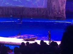 -华夏文旅海洋公园