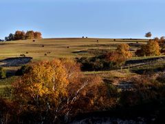 -塞罕坝国家级自然保护区