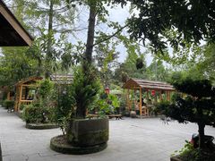 -青城甲(青城山店)