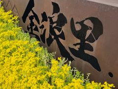 -巢湖姥山岛
