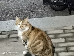 -康友四季(星汇广场店)