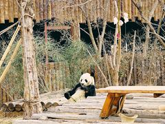 -济南野生动物世界