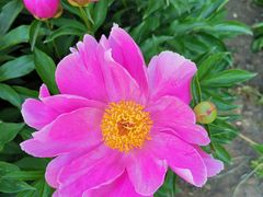 -长春公园(普阳街道)