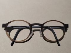 -大视光学•LINDBERG林德伯格•全球手工眼镜集合店(王府井店)