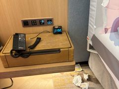 -上海佘山世茂艾美酒店