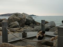 -宋井风景区