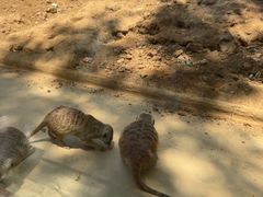 -秦皇岛野生动物园